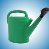 Watering Can